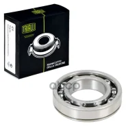 ��������� 6209 ������������� Trialli ���. CT209 CT209 Trialli CT209 ����