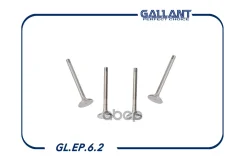 ������� �����+������ Gallant ���. GLEP62 GLEP62 Gallant GLEP62 ����