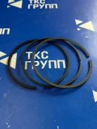 ������ ��������� [C6121] [SD16] 100695 100695 ����