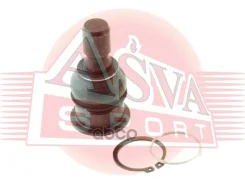 ����� ������� ������� ������ ����� ����/��� ASVA ���. 0220Z51 0220Z51 Asva 0220Z51 ����