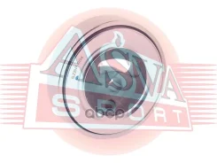 ����� �������� ��������� ������������ ASVA ���. SZBP004 SZBP004 Asva SZBP004 ����