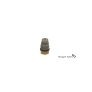 ������ ����������� �������� Iveco (42562997) Bosch 1110010022 1110010022 bosch 1110010022 ����