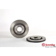 ���� ��������� Citroen: Berlingo 96-, BX 82-94, Xantia 93-98, Xantia 98-03, Xsara 97-05, ZX 91-97, P Brembo 09498721 09498721 ����