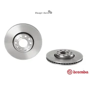 ���� ��������� Skoda Superb I (3U4) 12/01-03/08 / VW Passat B5 (3B2) 08/96-12/01 / VW Passat B5 Vari Brembo 09. A428.14 09A42814 ����
