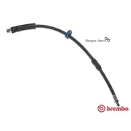 ����� ��������� Brembo T61031 (T 61 031 ) T61031 ����