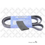 ������ ������������! 6PK737 VW Golf, Seat Cordoba 1.4/1.6 91 Stellox 0600736SX 0600736SX ����