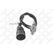 ������-����! BMW E34 2.0/2.5 mot. M20B20/M20B25 88-91 Stellox 2000101SX 2000101SX ����