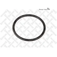 ������ ��������������! (�) 47.5x3.55 RVI Premium/Kerax Stellox 8901096SX 8901096SX ����