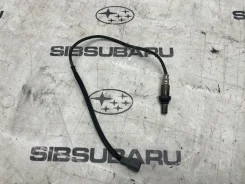 ������ ����������� Subaru Outback 2004 #9 [������ 61911 km] [���� 32J] 22690AA590 BP9 EJ253, ������ 22690AA590 ����