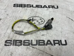 ������ ����������� Subaru Legacy 2005 #12 [������ 52655 km] [���� 39D] 22690AA700 BP5 20X, ������ 22690AA700 ����