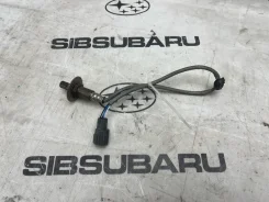 ������ ����������� Subaru Outback 2008 #28 [������ 103707 km] [���� 35J] 22690AA810 BP9 EJ253, ������ 22690AA810 ����