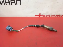 ������ ����������� Honda Stepwgn 2005 36532RTA004 RG3 K24A, �������� [15167] 36532RTA004 ����