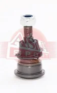 ����� ������� �������� ������ ����� ����/��� Asva [2020001] 2020001 ����