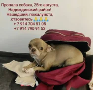 ������. ����