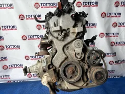 ��������� MR20DE � EGR ��� ������� �� ��! 51236 10102-JE0AA ����