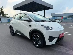 BYD Seagull. ��������, �������������, 10 000����. ��, �/�. ��� ����� �� ������������ ����