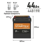 Startex