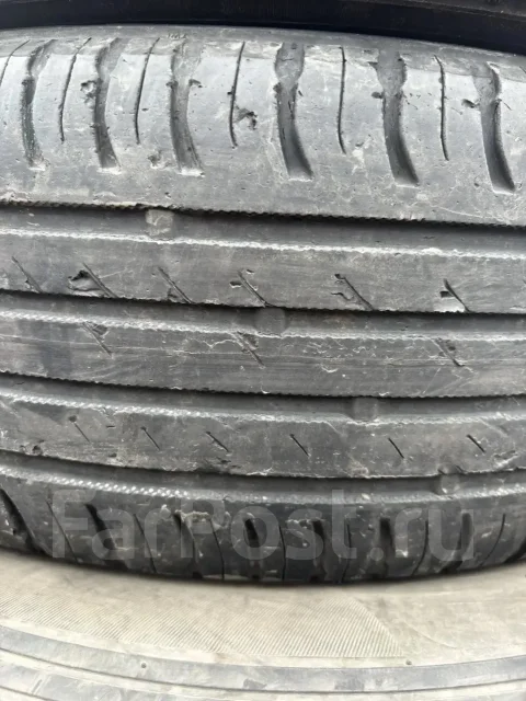 Nordman SX2. ������, �/�, ����� 35 % ����
