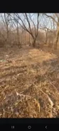 ������� ��� ���. 6 ����� � ������������ ������. 6����., �������������, �������������, ����. ���� ������� ����