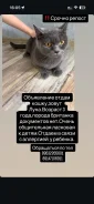 �����. ����