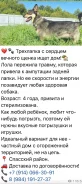 ������. ����