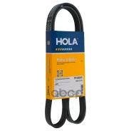 ������ ������������ Renault Duster 2.0 (-AC) HOLA ���. PH5005 PH5005 ����