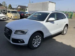 Audi Q5. ABA8RCNCF, CNC ����