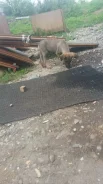 ������. ����