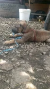 ������. ����