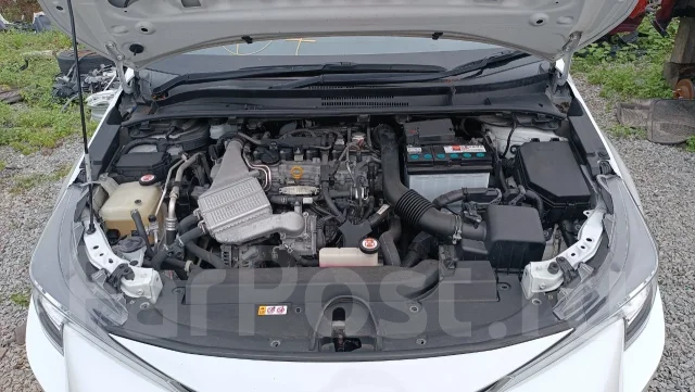 Eco.R. 60��.�., 570��., ��������, ������������ ������ ����