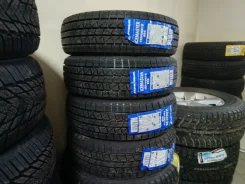 Compasal IceMaster. ������, ��� �����, ����� ����