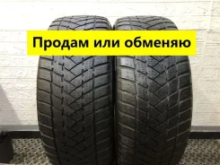 GT Radial WinterPro2