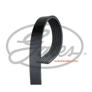 ������ ������������ XF 68453 Gates 6PK2100 6PK2100 ����