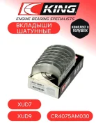 �������� �������� King Engine Bearings CR4075AM030 CR4075AM030 ����