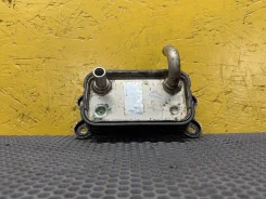 �������� ���������� �������� (���������) 31201910 ����