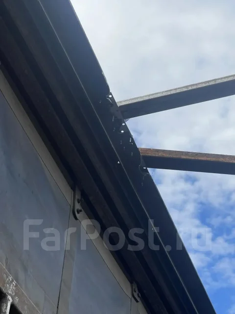 ������ ������ ��� ����