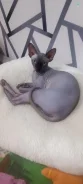 ��������� ������. ����