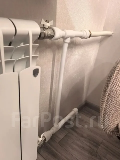 ����������. ����