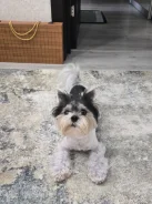 �����-����������� ������. ����