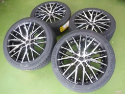 Kyoho Steiner CVX