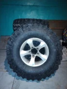 Interco. ����� rt, �/�, ����� 50 % ����