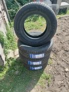 Compasal. ������, 2024 ���, ����� ����