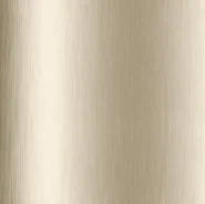 ������ ��������. ����