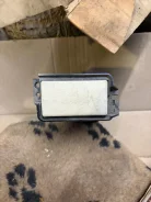 �������� ������ 684739Y000 ����