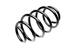 ������� ������� ����� | ����� ����/��� | Standard Springs ST134078F ST134078F ����