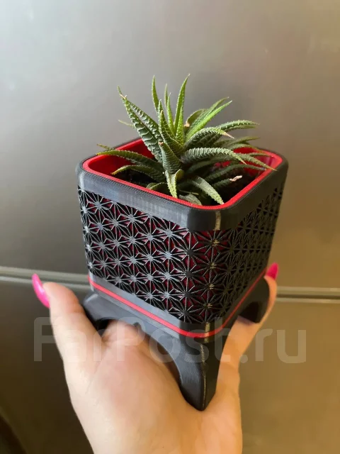 3� ������ ��� ����� ����