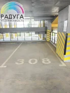 ����� �����������. . ��� ������ ����