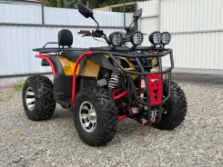 Grizzly. ��������, ��� ���\���, ��� ������� ����