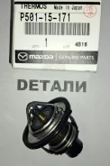 ��������� (P5) P50115171 P50115171 P50115171 ����