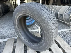 Dunlop Graspic